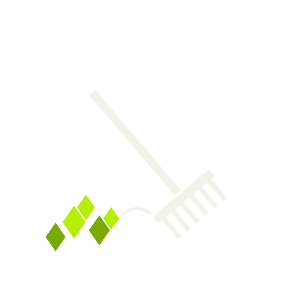 Lawn & Yard Cleanup